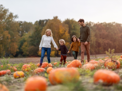 Pumpkin Patches London